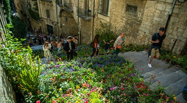 Girona Fotos del dia de Temps de flors, si pot ser alguna de guies amb el paraigua en l'aire per guiar un grup de visitants