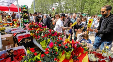 Girona. La Copa. Parades de Sant Jordi de llibres i roses. Ambient i autors signant.